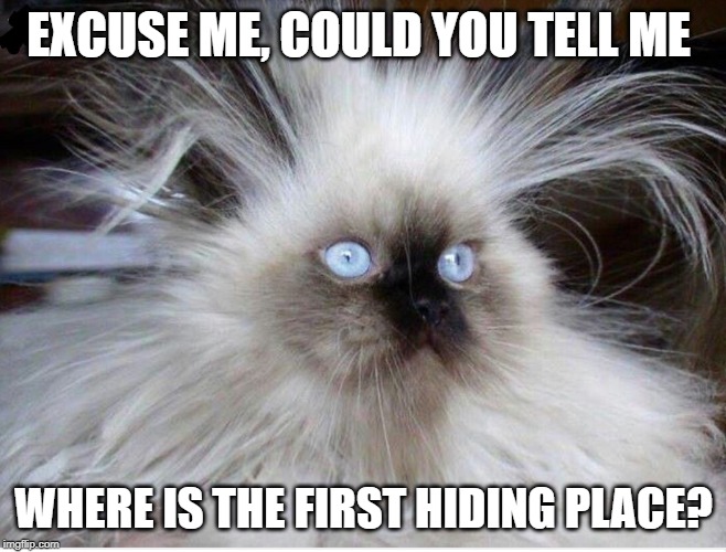 Frazzled over politics | EXCUSE ME, COULD YOU TELL ME; WHERE IS THE FIRST HIDING PLACE? | image tagged in frazzled over politics | made w/ Imgflip meme maker
