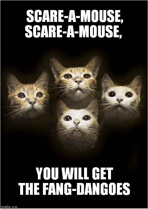 Bohemian Ratsody | SCARE-A-MOUSE, SCARE-A-MOUSE, YOU WILL GET THE FANG-DANGOES | image tagged in cats,bohemian rhapsody | made w/ Imgflip meme maker