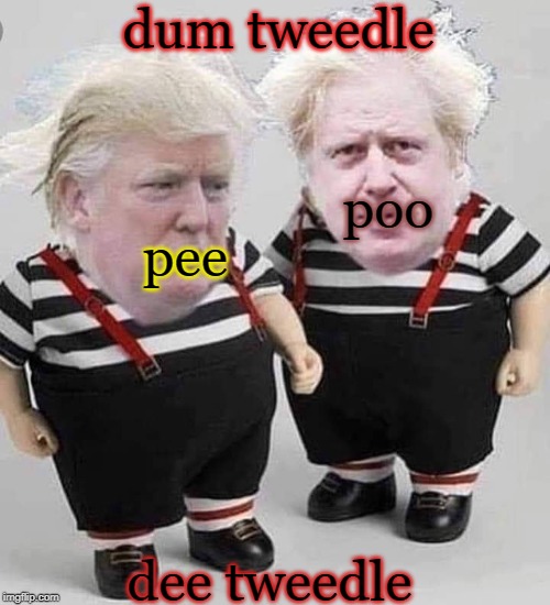 dum dee | dum tweedle; poo; pee; dee tweedle | image tagged in donald trump,boris johnson | made w/ Imgflip meme maker