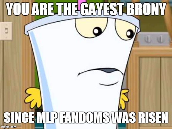 YOU ARE THE GAYEST BRONY; SINCE MLP FANDOMS WAS RISEN | image tagged in master shake,mlp | made w/ Imgflip meme maker