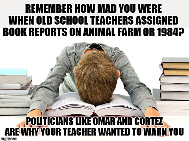 Thank goodness old school teachers warned me about tyrants |  REMEMBER HOW MAD YOU WERE WHEN OLD SCHOOL TEACHERS ASSIGNED BOOK REPORTS ON ANIMAL FARM OR 1984? POLITICIANS LIKE OMAR AND CORTEZ ARE WHY YOUR TEACHER WANTED TO WARN YOU | image tagged in books | made w/ Imgflip meme maker