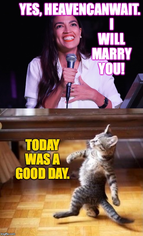 I know you all happy for her  ( : | YES, HEAVENCANWAIT. I WILL MARRY YOU! TODAY WAS A GOOD DAY. | image tagged in memes,cool cat stroll,beautiful aoc,heavencanwait | made w/ Imgflip meme maker