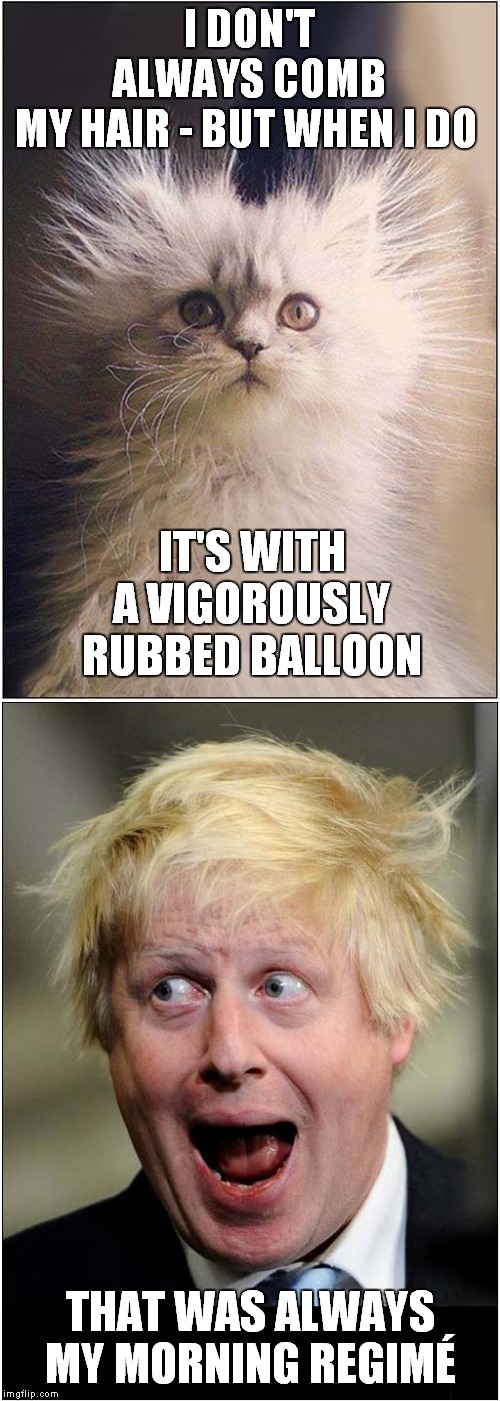Static Electrickery | I DON'T ALWAYS COMB MY HAIR - BUT WHEN I DO; IT'S WITH A VIGOROUSLY RUBBED BALLOON; THAT WAS ALWAYS MY MORNING REGIMÉ | image tagged in fun,cats,boris johnson,static electrickery | made w/ Imgflip meme maker