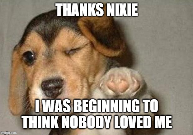 Winking Dog | THANKS NIXIE I WAS BEGINNING TO THINK NOBODY LOVED ME | image tagged in winking dog | made w/ Imgflip meme maker