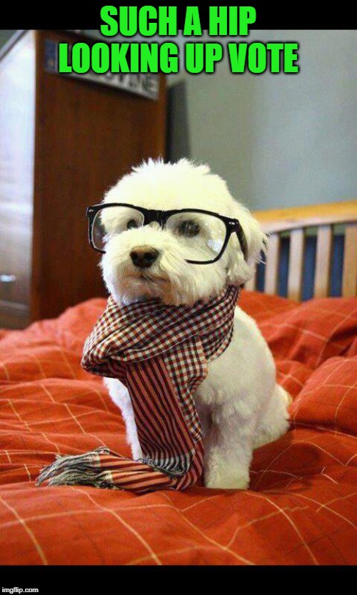 Intelligent Dog Meme | SUCH A HIP LOOKING UP VOTE | image tagged in memes,intelligent dog | made w/ Imgflip meme maker