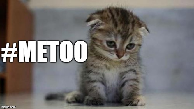 Sad kitten | #METOO | image tagged in sad kitten | made w/ Imgflip meme maker