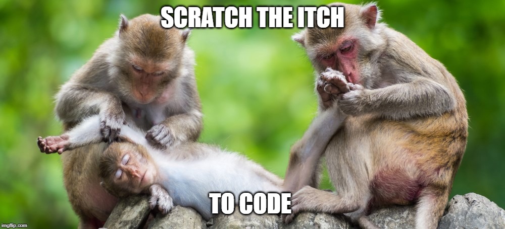 SCRATCH THE ITCH; TO CODE | image tagged in code,scratch | made w/ Imgflip meme maker
