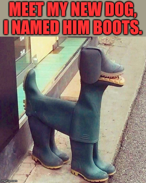 It was a hard name to come up with. | MEET MY NEW DOG, I NAMED HIM BOOTS. | image tagged in frontpage | made w/ Imgflip meme maker