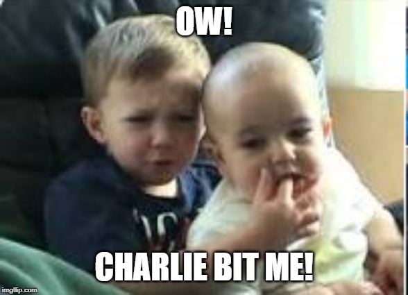 Charlie Bit My Finger | OW! CHARLIE BIT ME! | image tagged in charlie bit my finger | made w/ Imgflip meme maker