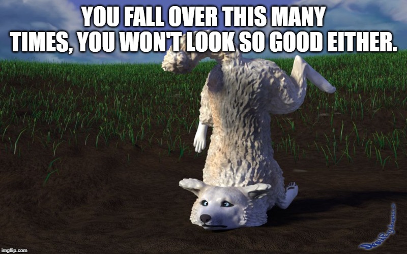 Moon Moon Faceplanted | YOU FALL OVER THIS MANY TIMES, YOU WON'T LOOK SO GOOD EITHER. | image tagged in moon moon faceplanted | made w/ Imgflip meme maker