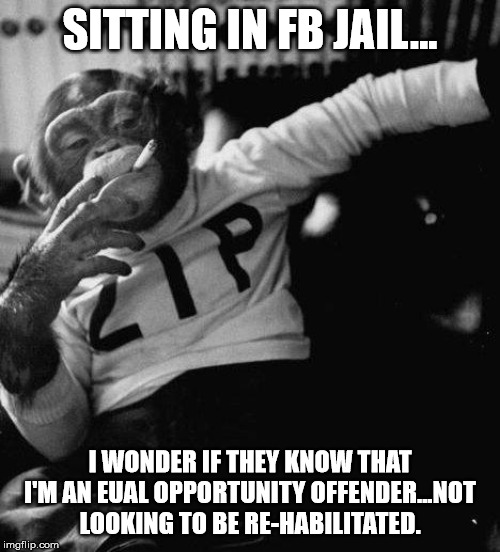 Monkey | SITTING IN FB JAIL... I WONDER IF THEY KNOW THAT I'M AN EUAL OPPORTUNITY OFFENDER...NOT LOOKING TO BE RE-HABILITATED. | image tagged in monkey | made w/ Imgflip meme maker