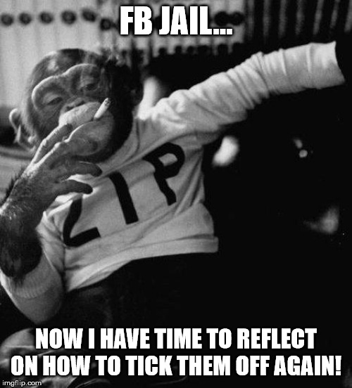 Monkey | FB JAIL... NOW I HAVE TIME TO REFLECT ON HOW TO TICK THEM OFF AGAIN! | image tagged in monkey | made w/ Imgflip meme maker