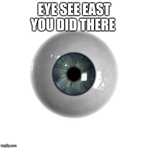eye-ball | EYE SEE EAST YOU DID THERE | image tagged in eye-ball | made w/ Imgflip meme maker