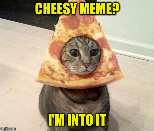 pizza cat | CHEESY MEME? I'M INTO IT | image tagged in pizza cat | made w/ Imgflip meme maker