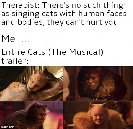 Me after watching the new Cats trailer...10/10 would not recommend | image tagged in cats the musical,send help | made w/ Imgflip meme maker