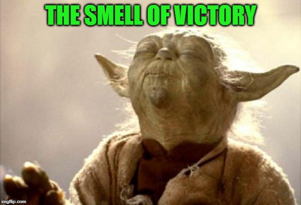 yoda smell | THE SMELL OF VICTORY | image tagged in yoda smell | made w/ Imgflip meme maker