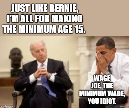 Obama and Biden | JUST LIKE BERNIE, I'M ALL FOR MAKING THE MINIMUM AGE 15. WAGE JOE, THE MINIMUM WAGE, YOU IDIOT. | image tagged in obama and biden | made w/ Imgflip meme maker