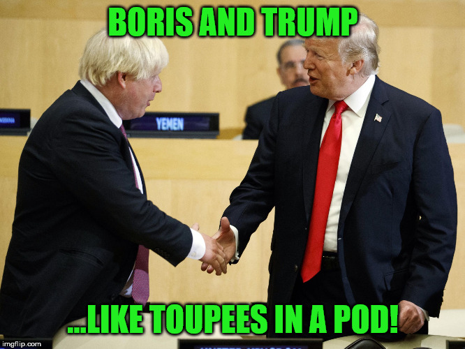 Trump boris johnson | BORIS AND TRUMP; ...LIKE TOUPEES IN A POD! | image tagged in trump boris johnson | made w/ Imgflip meme maker