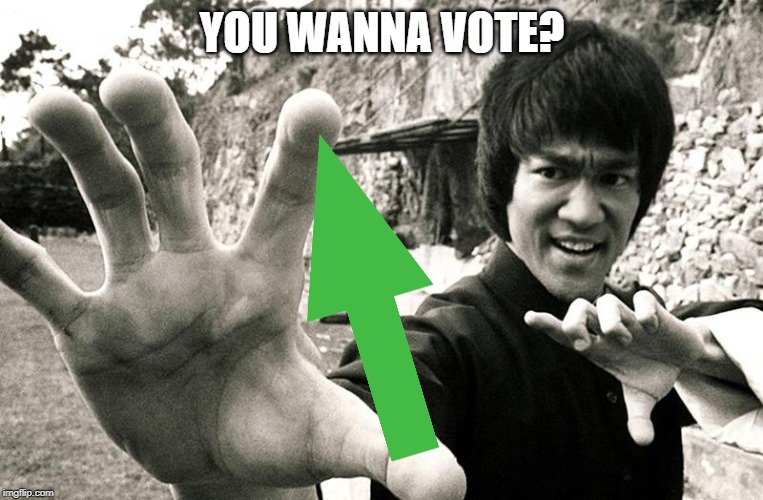 Martial Votes | YOU WANNA VOTE? | image tagged in upvotes,bruce lee,lol,fun | made w/ Imgflip meme maker