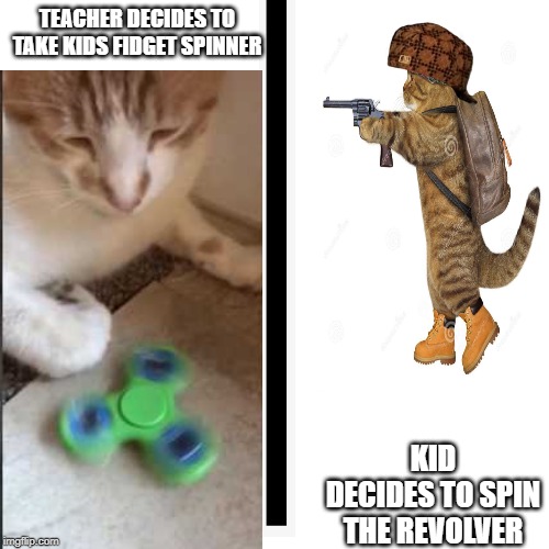 BANG BANG | TEACHER DECIDES TO TAKE KIDS FIDGET SPINNER; KID DECIDES TO SPIN THE REVOLVER | image tagged in cat,pang pang | made w/ Imgflip meme maker