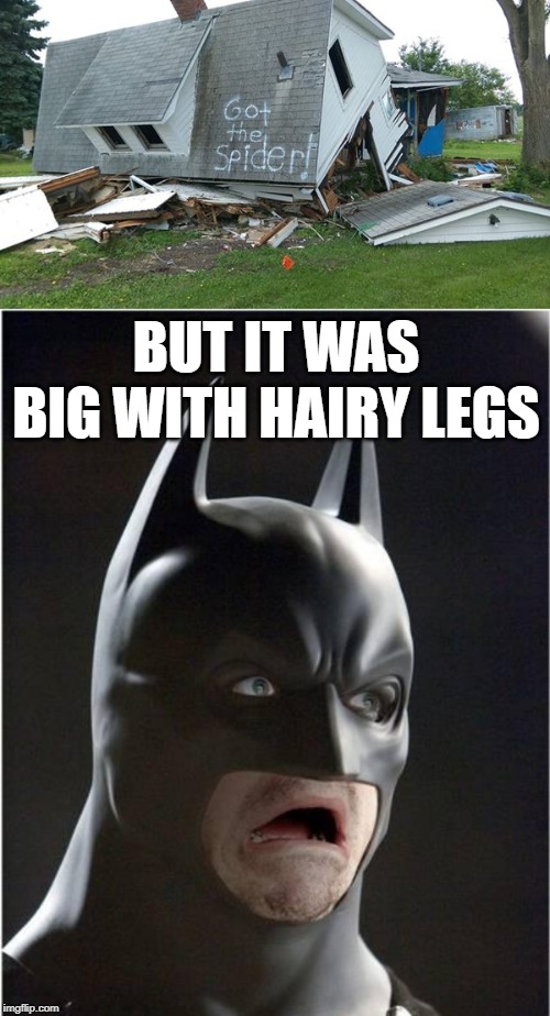 Would do anything to kill a spider | BUT IT WAS BIG WITH HAIRY LEGS | image tagged in batman scared | made w/ Imgflip meme maker