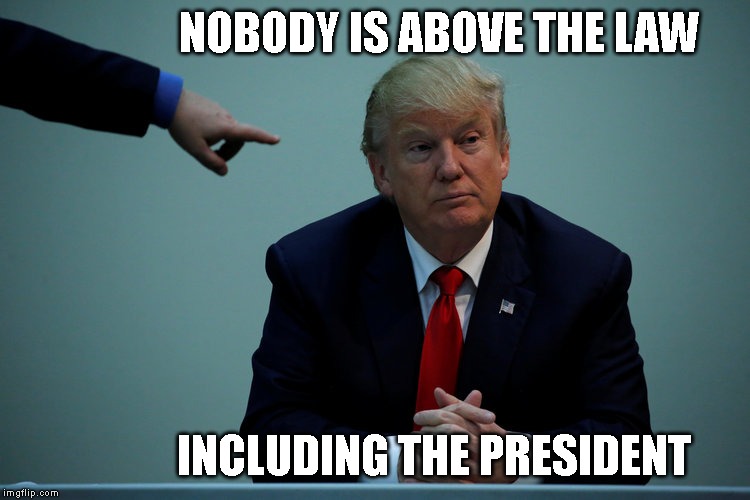 The Truth, The Whole Truth, and Nothing But the Truth! | NOBODY IS ABOVE THE LAW; INCLUDING THE PRESIDENT | image tagged in impeach trump,nobody is above the law,criminal,liar,conman,traitor | made w/ Imgflip meme maker