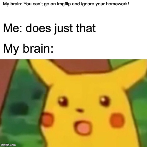 Surprised Pikachu Meme | My brain: You can’t go on imgflip and ignore your homework! Me: does just that; My brain: | image tagged in memes,surprised pikachu | made w/ Imgflip meme maker