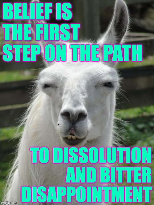 Llama glare | BELIEF IS THE FIRST STEP ON THE PATH TO DISSOLUTION AND BITTER DISAPPOINTMENT | image tagged in llama glare | made w/ Imgflip meme maker
