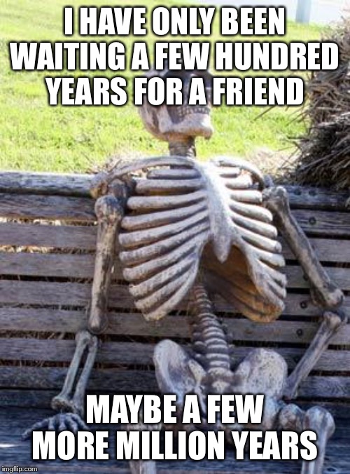 Waiting Skeleton Meme | I HAVE ONLY BEEN WAITING A FEW HUNDRED YEARS FOR A FRIEND; MAYBE A FEW MORE MILLION YEARS | image tagged in memes,waiting skeleton | made w/ Imgflip meme maker