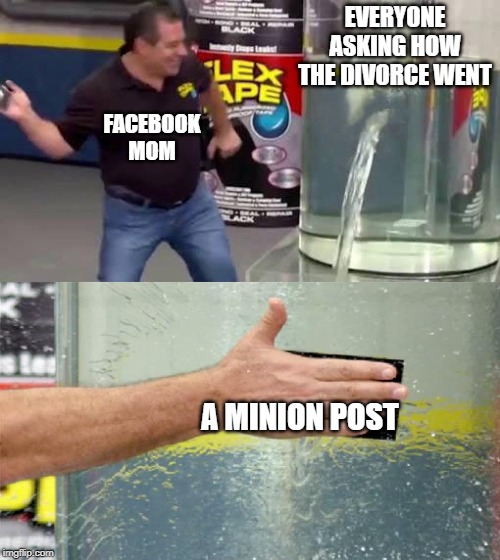 Flex Tape | EVERYONE ASKING HOW THE DIVORCE WENT; FACEBOOK MOM; A MINION POST | image tagged in flex tape | made w/ Imgflip meme maker