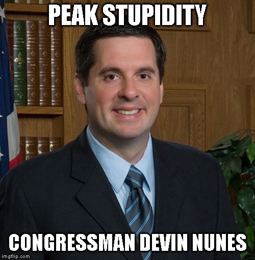 Liar | PEAK STUPIDITY; CONGRESSMAN DEVIN NUNES | image tagged in impeach trump,devin nunes | made w/ Imgflip meme maker