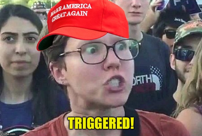 Triggered conservative | TRIGGERED! | image tagged in triggered conservative | made w/ Imgflip meme maker