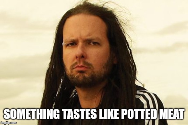 korn | SOMETHING TASTES LIKE POTTED MEAT | image tagged in korn | made w/ Imgflip meme maker