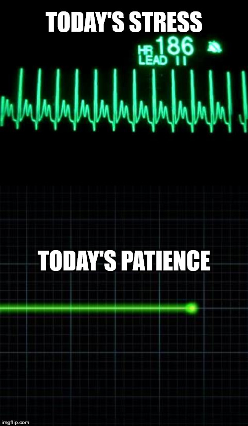 Zero Patience | TODAY'S STRESS; TODAY'S PATIENCE | image tagged in stressed out,no patience | made w/ Imgflip meme maker