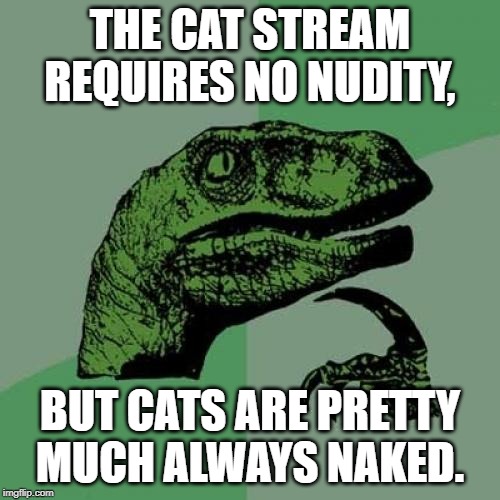 I'm submitting this in fun, because this meme doesn't actually have any cats in it. | THE CAT STREAM REQUIRES NO NUDITY, BUT CATS ARE PRETTY MUCH ALWAYS NAKED. | image tagged in memes,philosoraptor | made w/ Imgflip meme maker