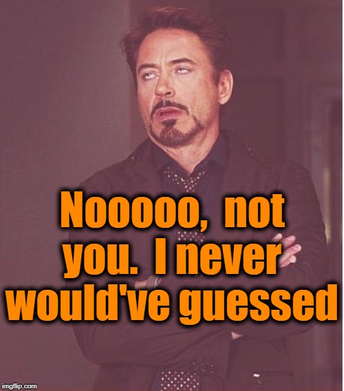 Face You Make Robert Downey Jr Meme | Nooooo,  not you.  I never would've guessed | image tagged in memes,face you make robert downey jr | made w/ Imgflip meme maker