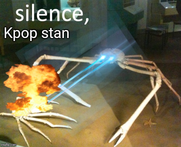 Silence Crab | Kpop stan | image tagged in silence crab | made w/ Imgflip meme maker