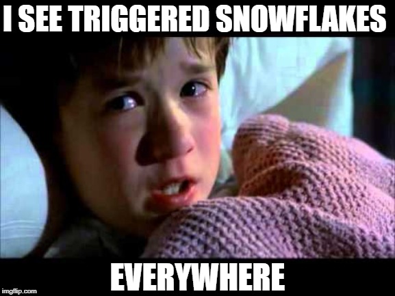 I see triggered snowflakes everywhere | I SEE TRIGGERED SNOWFLAKES; EVERYWHERE | image tagged in i see dead people,the sixth sense,triggered snowflakes,angry liberals,meltdowns,democrats | made w/ Imgflip meme maker