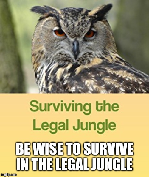 Be Wise | BE WISE TO SURVIVE IN THE LEGAL JUNGLE | image tagged in wise,law | made w/ Imgflip meme maker