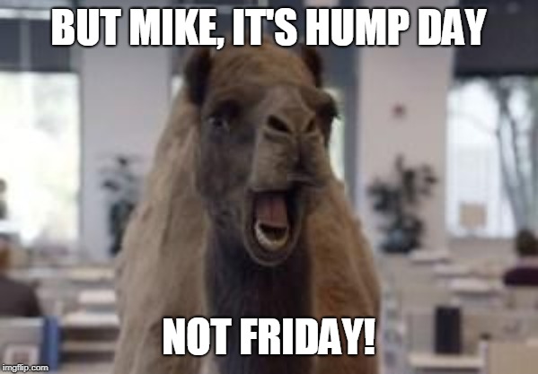 Hump Day Camel | BUT MIKE, IT'S HUMP DAY NOT FRIDAY! | image tagged in hump day camel | made w/ Imgflip meme maker