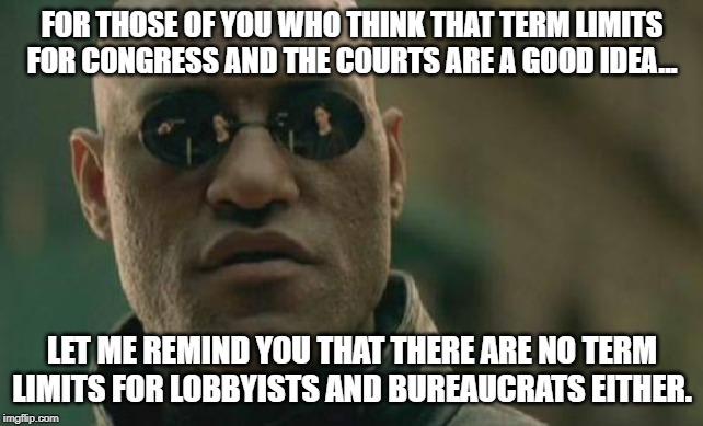 Matrix Morpheus | FOR THOSE OF YOU WHO THINK THAT TERM LIMITS FOR CONGRESS AND THE COURTS ARE A GOOD IDEA... LET ME REMIND YOU THAT THERE ARE NO TERM LIMITS FOR LOBBYISTS AND BUREAUCRATS EITHER. | image tagged in memes,matrix morpheus | made w/ Imgflip meme maker