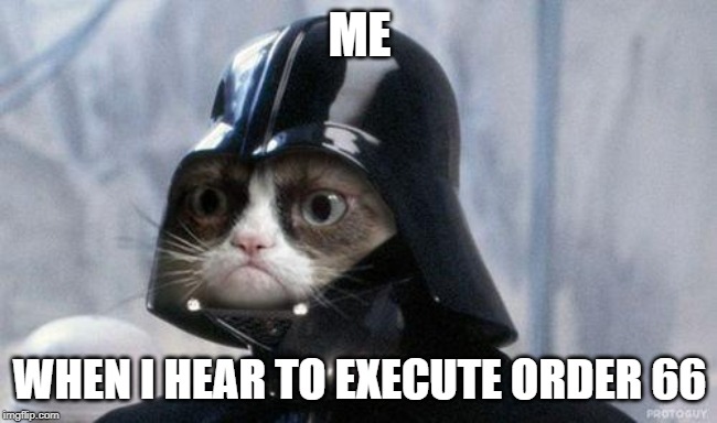 Grumpy Cat Star Wars Meme | ME; WHEN I HEAR TO EXECUTE ORDER 66 | image tagged in memes,grumpy cat star wars,grumpy cat | made w/ Imgflip meme maker