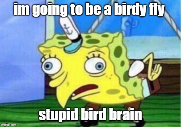 Mocking Spongebob | im going to be a birdy fly; stupid bird brain | image tagged in memes,mocking spongebob | made w/ Imgflip meme maker