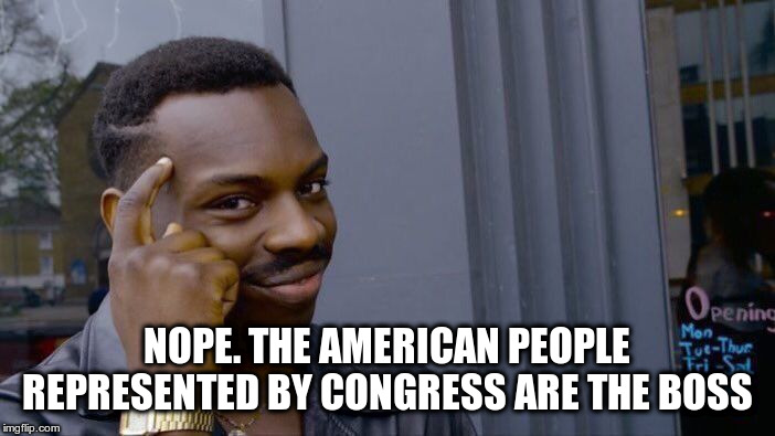 Roll Safe Think About It Meme | NOPE. THE AMERICAN PEOPLE REPRESENTED BY CONGRESS ARE THE BOSS | image tagged in memes,roll safe think about it | made w/ Imgflip meme maker