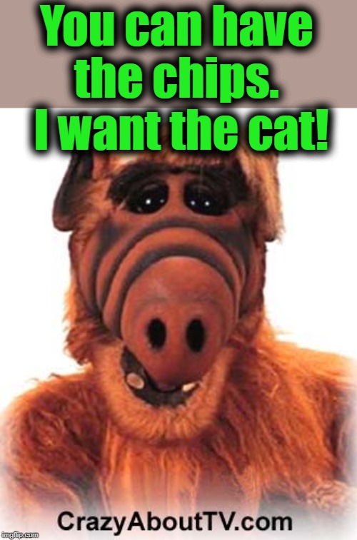 ALF | You can have the chips.  I want the cat! | image tagged in alf | made w/ Imgflip meme maker