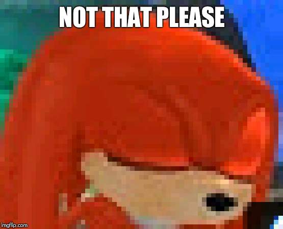 knuckles | NOT THAT PLEASE | image tagged in knuckles | made w/ Imgflip meme maker