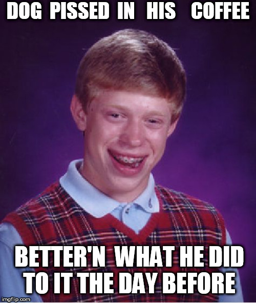 Bad Luck Brian Meme | DOG  PISSED  IN   HIS    COFFEE BETTER'N  WHAT HE DID






TO IT THE DAY BEFORE | image tagged in memes,bad luck brian | made w/ Imgflip meme maker