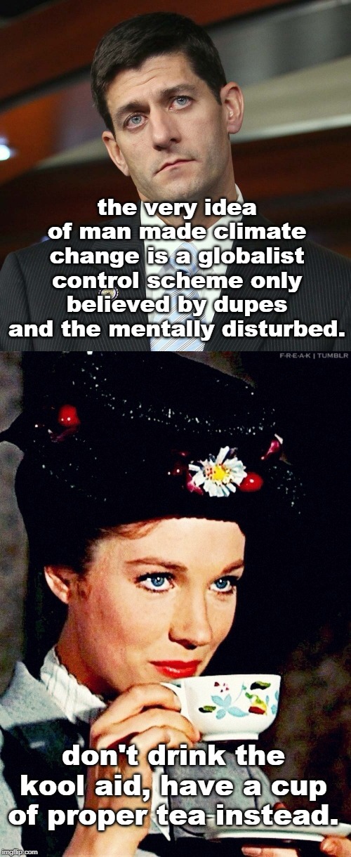 the very idea of man made climate change is a globalist control scheme only believed by dupes and the mentally disturbed. don't drink the kool aid, have a cup of proper tea instead. | image tagged in mary poppins | made w/ Imgflip meme maker