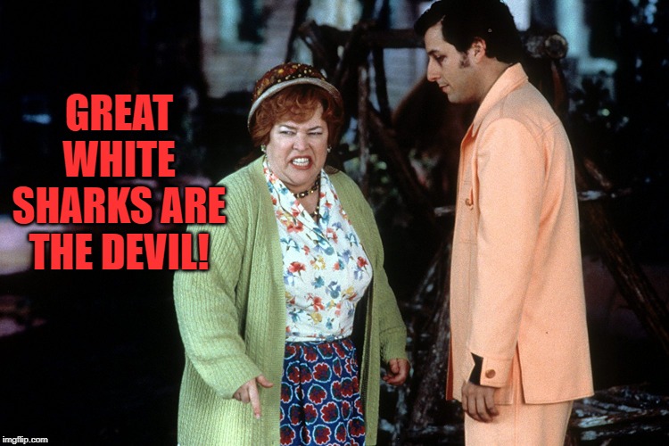 water boy mama  | GREAT WHITE SHARKS ARE THE DEVIL! | image tagged in water boy mama | made w/ Imgflip meme maker