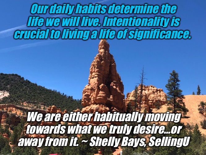 Our daily habits determine the life we will live. Intentionality is crucial to living a life of significance. We are either habitually moving towards what we truly desire...or away from it. ~ Shelly Bays, SellingU | made w/ Imgflip meme maker